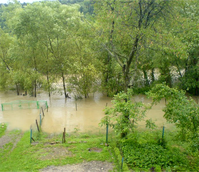 Луквиця